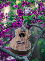 Carica l'immagine nel visualizzatore di Gallery, Kunde Moon 23" - Kunde Brand
