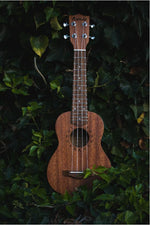 Carica l'immagine nel visualizzatore di Gallery, Kunde Sun 21" - Kunde Brand
