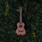 Cargar imagen en el visor de la galería, ukelele sun concierto
