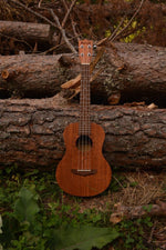 Carica l'immagine nel visualizzatore di Gallery, Kunde Sun 26" - Kunde Brand
