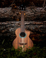 Carica l'immagine nel visualizzatore di Gallery, Kunde Venus 26" EQ - Kunde Brand
